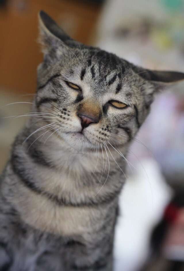 夜型の人お話しましょ＞(´∀｀∩