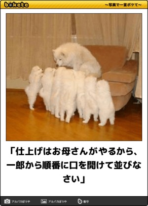 【part.17】ハロウィンスギちゃんだぜぇ～