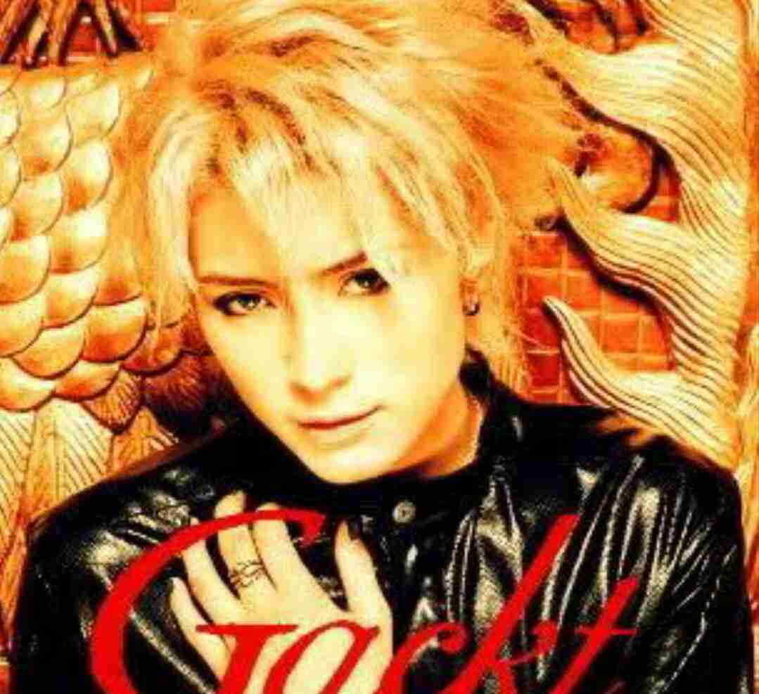 カラオケで歌ったことがある男性歌手の曲