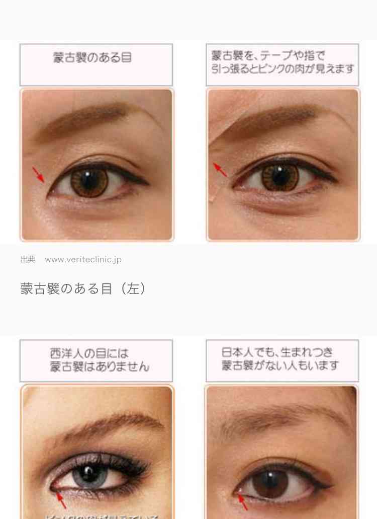 カラオケで歌ったことがある男性歌手の曲