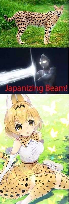 突っ込んだら負け！な画像を貼るトピ