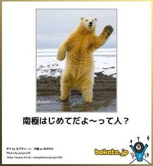 突っ込んだら負け！な画像を貼るトピ