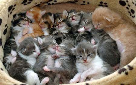 【ネタトピ】徳井義実を怒らせる方法