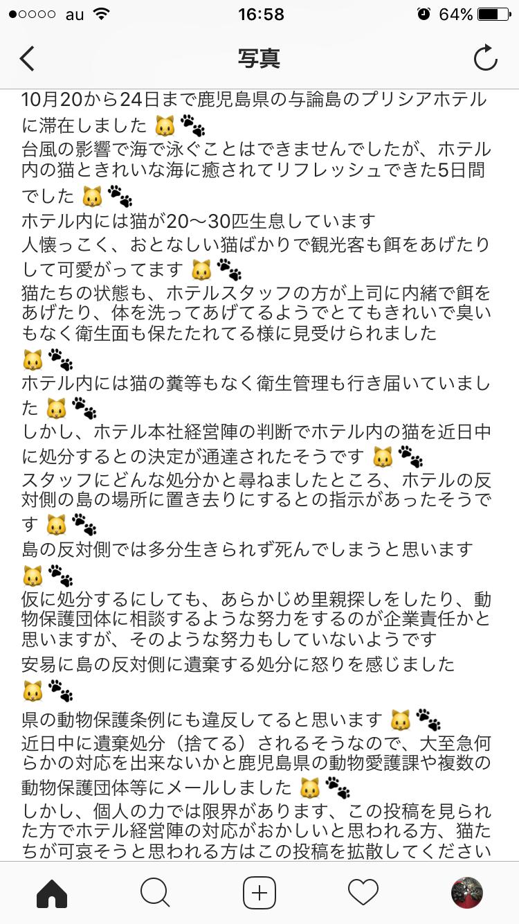 【アンカー必須】雑談トピ