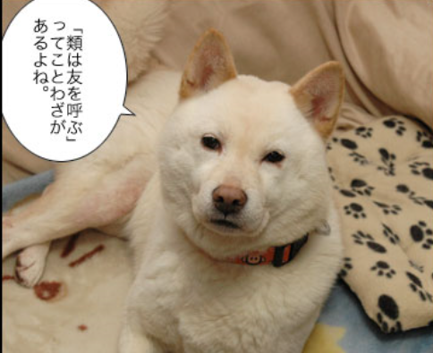 突然、友達が無理になる瞬間ありませんか?