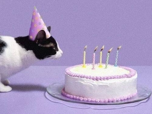 【祝】10月に誕生日を迎える人をお祝いするトピ