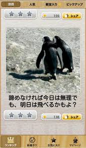 動物同士が会話してるように見える画像