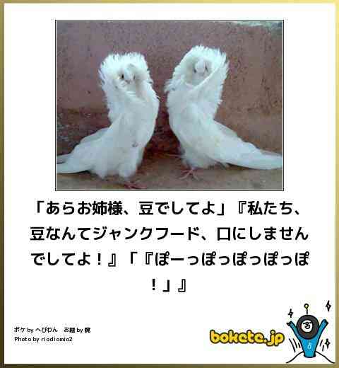 動物同士が会話してるように見える画像