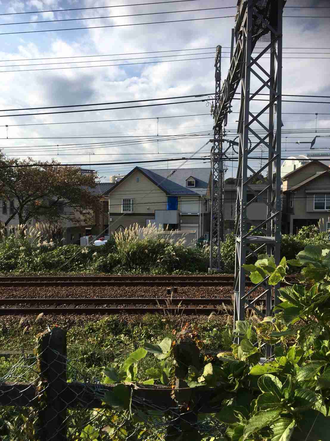 行方不明の女性と関連の男、自宅に複数の遺体