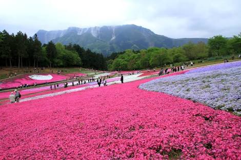 埼玉県のおすすめデートスポット