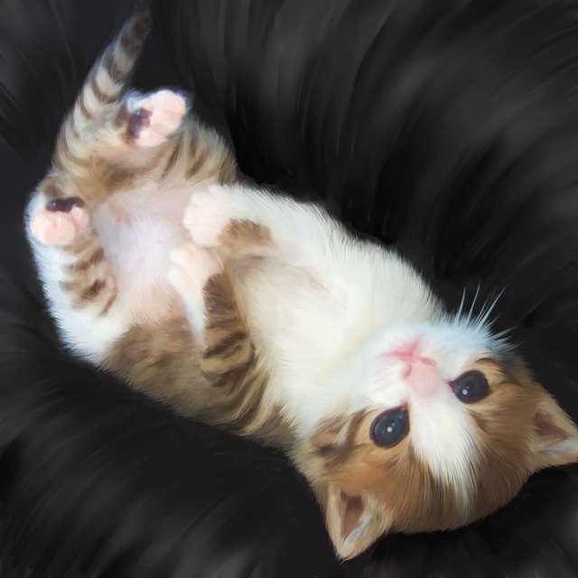 今日のおやつを教えて下さい