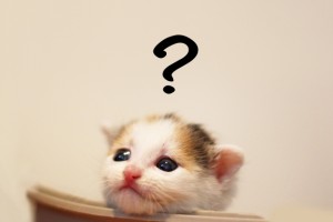 【雑談】心も体も暖まる画像を貼りましょう