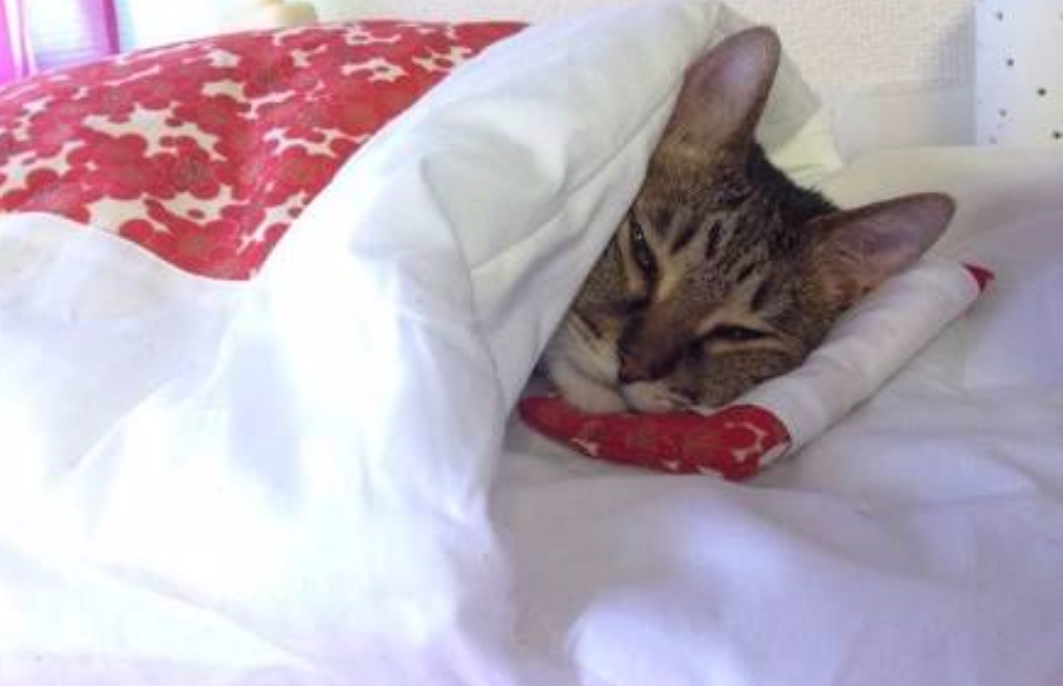 気怠げな雰囲気の画像