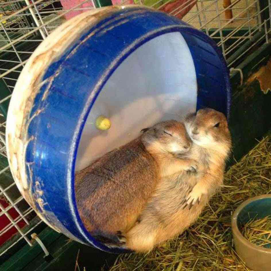 気怠げな雰囲気の画像