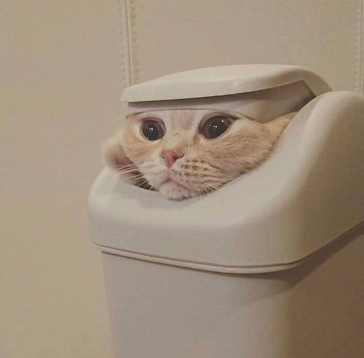 気怠げな雰囲気の画像