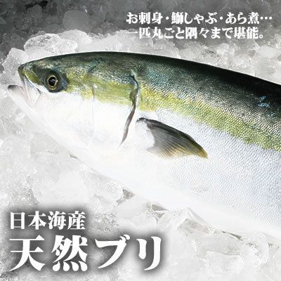 本物の天然エピソードが聞きたい