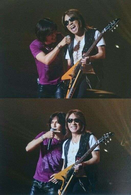 いろんな稲葉浩志が見たい