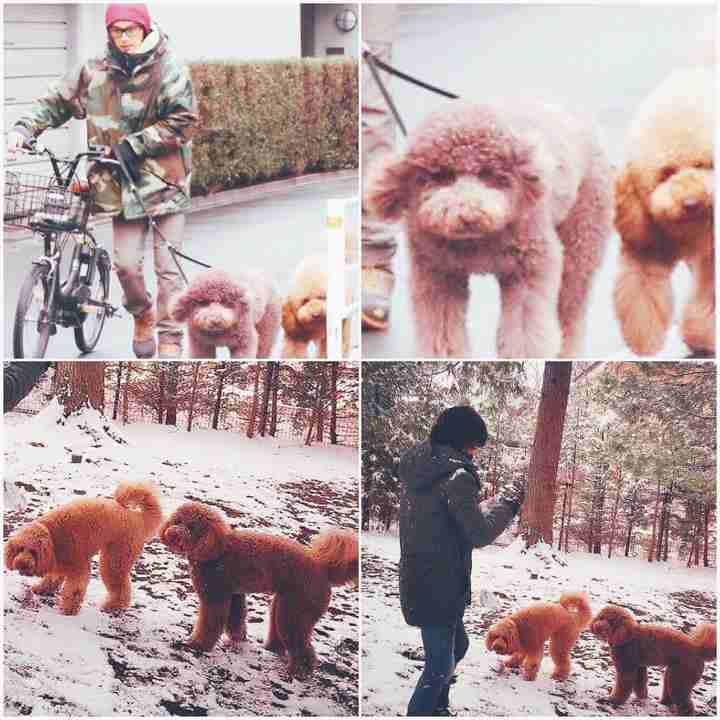 いろんな稲葉浩志が見たい