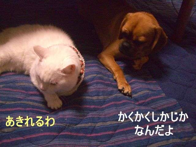 職場でイチャつく不倫カップル!