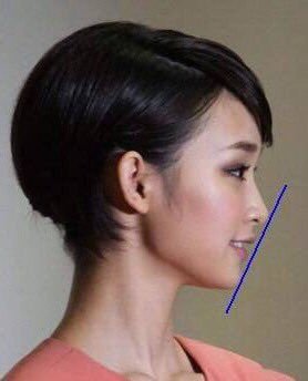 【画像】美しい横顔が集まるトピ