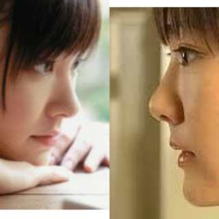 【画像】美しい横顔が集まるトピ