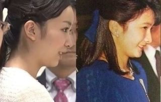 【画像】美しい横顔が集まるトピ