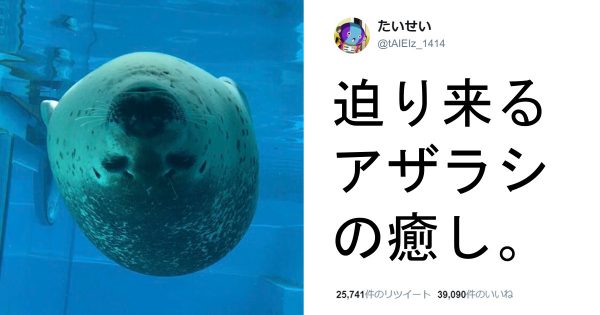 爽やかな画像を貼るトピ