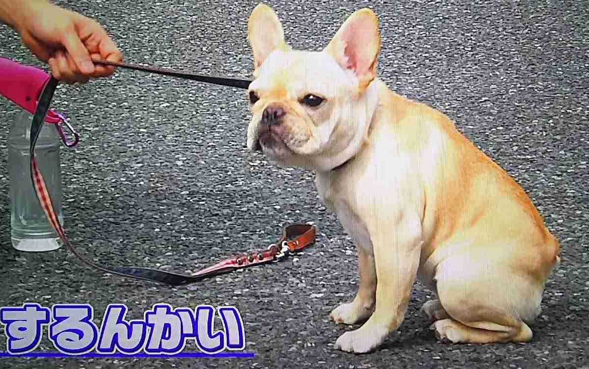 今月の雑談トピ【2017年10月】