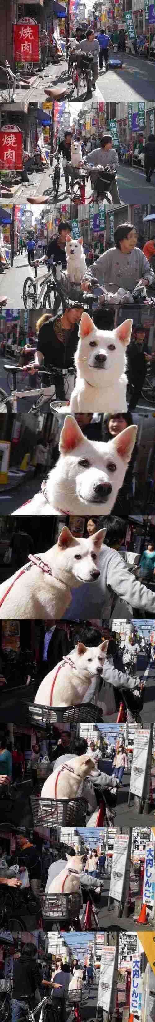 記憶だけを頼りにしてがるちゃんでよく見る画像を描くトピ