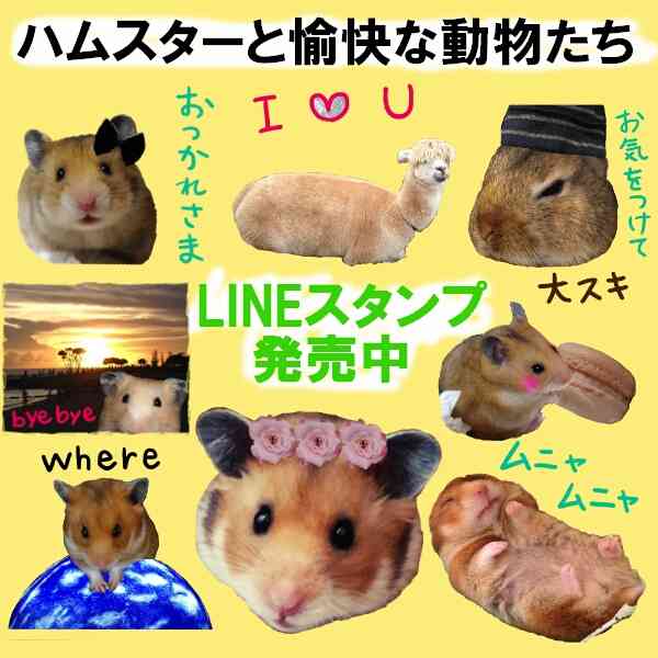 あなたの好きなLINEスタンプ