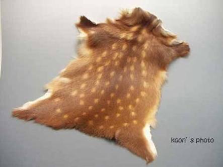 動物の雑貨や食器、インテリアが好き