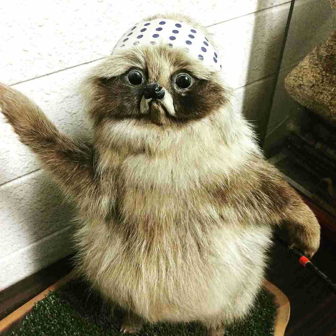 その土地の方言うつりますか？