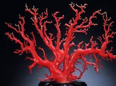 綺麗な「鉱石・宝石」の画像を貼るトピ♪
