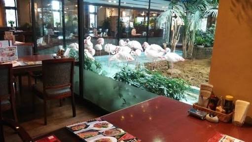 飲食店の使い回しの箸、使えますか？