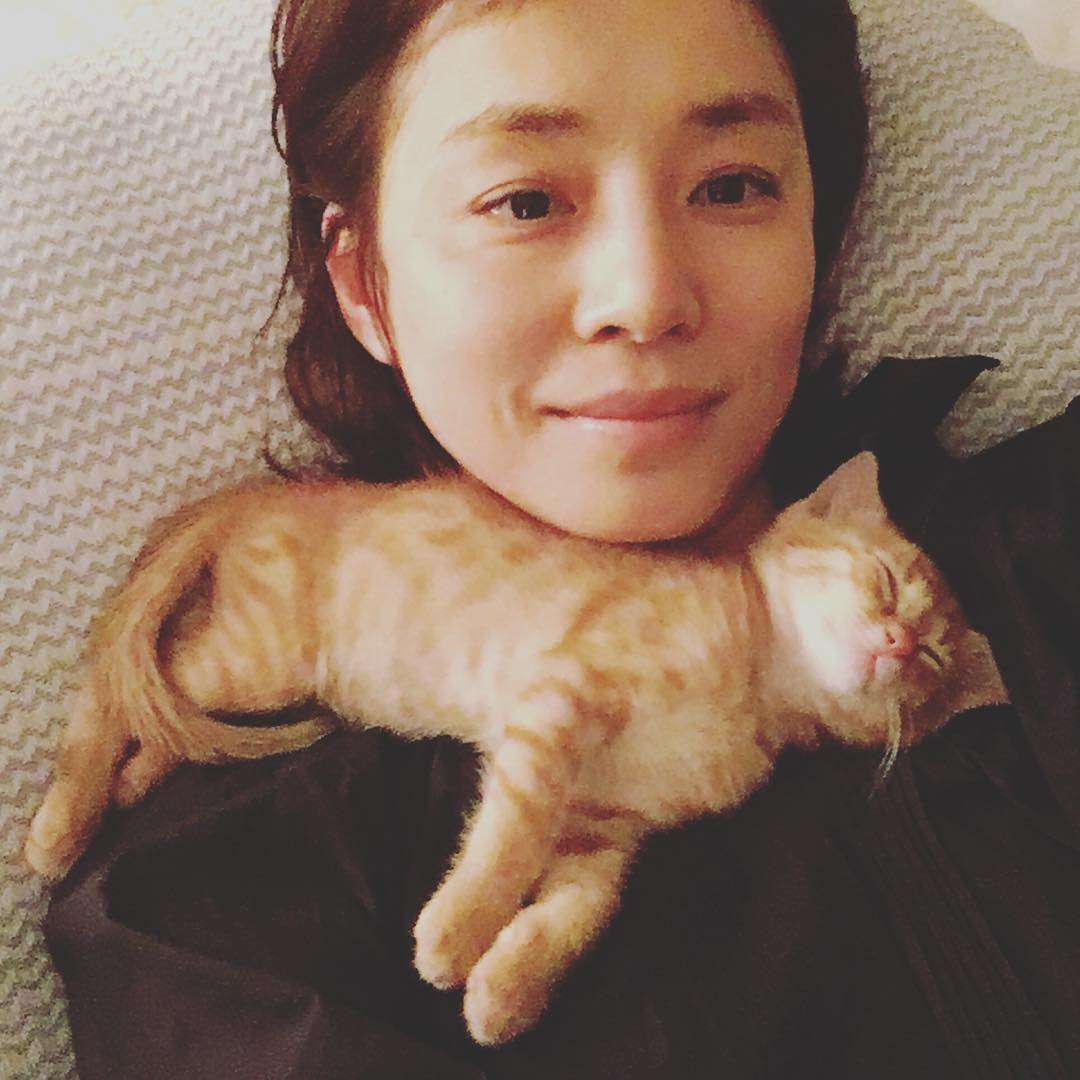 色々な石田ゆり子が見たい!