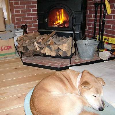「温まっている動物」の画像を貼るトピ♪