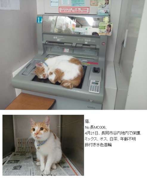 「温まっている動物」の画像を貼るトピ♪