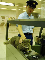 「温まっている動物」の画像を貼るトピ♪