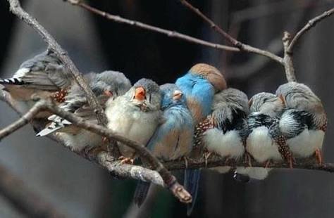 「温まっている動物」の画像を貼るトピ♪