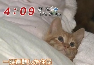 「温まっている動物」の画像を貼るトピ♪