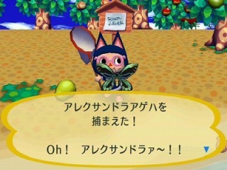 蝶々モチーフのきれいなもの