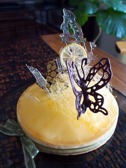 蝶々モチーフのきれいなもの