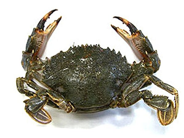 炊き込みご飯が食べたいな