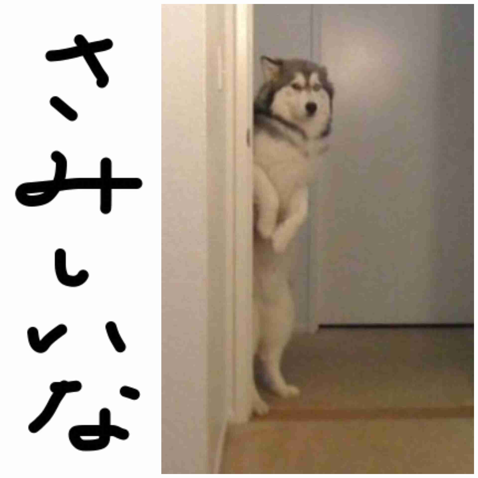 ガルちゃん書道展・冬の叫び編！