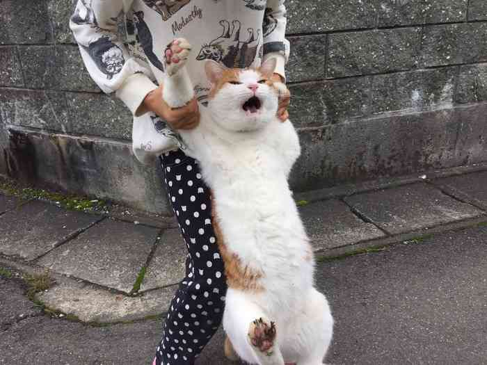 恥ずかしい落とし物