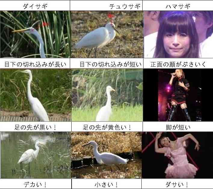 浜崎あゆみ、中止となった宮城公演の振替案内がでるも不満の声が渦巻く
