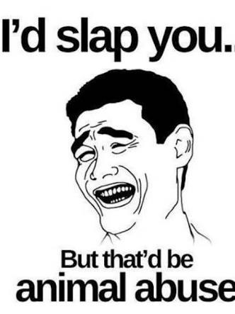 維新・丸山穂高議員が離党届「もはや耐えられない」　橋下徹氏のツイッター批判に