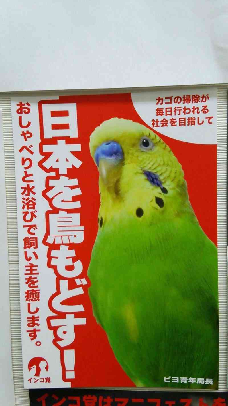 鳥の画像を貼っていくトピ