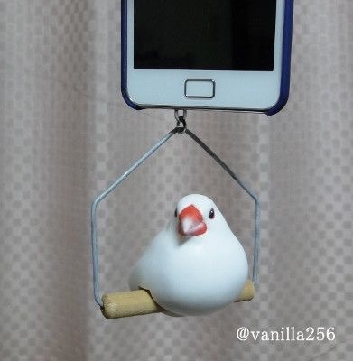鳥の画像を貼っていくトピ