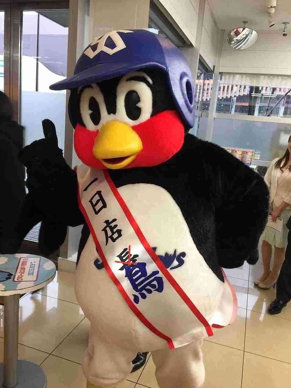鳥の画像を貼っていくトピ